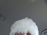 alexxx124-1 Bangacams Model Profile