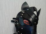JustXPlay Bangacams Model Profile