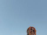Lola-18871 Bangacams Model Profile