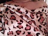 Dominican Bangacams Model Profile